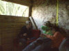 P1010415.jpg, 83 kB